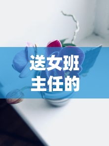 送女班主任的礼物选择与心意，如何挑选合适的礼物表达感激与敬意？  第1张