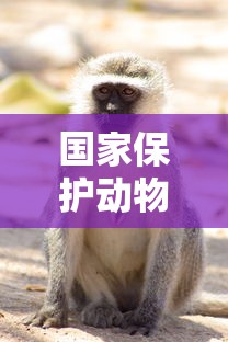 国家保护动物概览  第1张