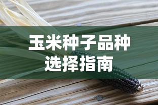 玉米种子品种选择指南  第1张