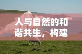 人与自然和谐共生，共创可持续发展未来  第1张