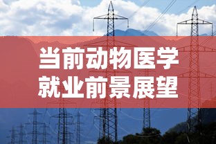 泡泡西游官网  第1张