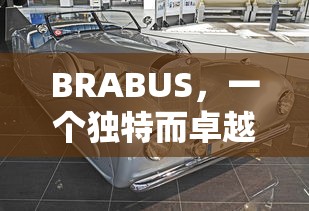 BRABUS，独特卓越的汽车品牌  第1张