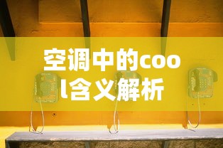 c牌驾照能开什么车  第1张