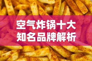 空气炸锅十大知名品牌解析  第1张