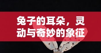 少女前线阵容搭配2023  第1张