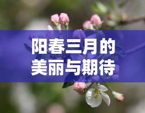 电子驾照证件在哪里查询  第1张