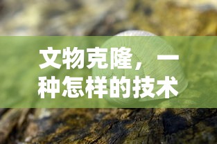 文物克隆，技术手段的探索与解读  第1张