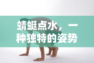蜻蜓点水，独特的姿势解读  第1张