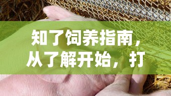 知了饲养指南，打造你的小昆虫乐园从了解开始  第1张