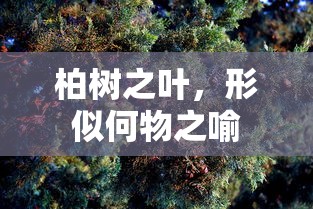 柏树之叶，形似翠羽的喻物  第1张