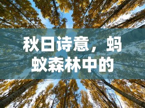 生死狙击圣光骑士图片大全高清  第1张