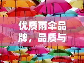 优质耐用，完美结合的雨伞品牌  第1张