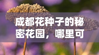 成都优质花种子购买指南，探寻秘密花园的宝藏之地  第1张