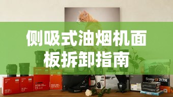 侧吸式油烟机面板拆卸全攻略  第1张