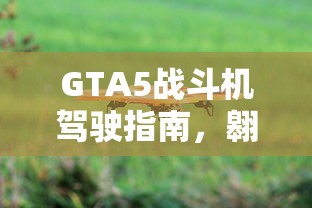 驾驶证多久换一次证  第1张