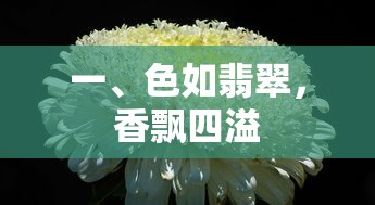 色如翡翠香飘四溢的魅力之物  第1张