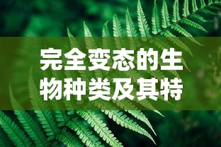 倒车雷达安装指南，简易步骤与注意事项  第1张