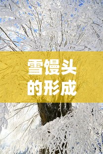 大众途观降价  第1张