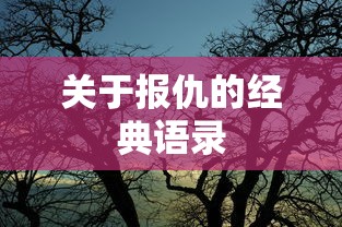 经典报仇语录，血债需用血来偿  第1张