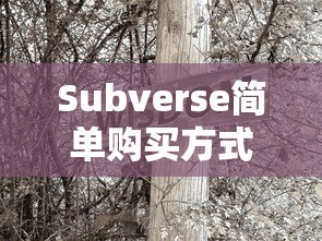 Subverse简单购买方式介绍  第1张