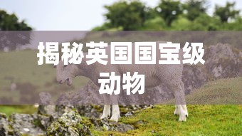 揭秘英国国宝级动物，从红鹿到企鹅的珍稀生物多样性  第1张