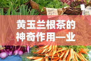 黄玉兰根茶的神奇作用，业百科深度解读  第1张