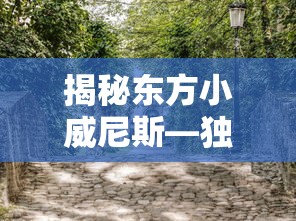 揭秘东方小威尼斯，独特水乡风情之旅  第1张