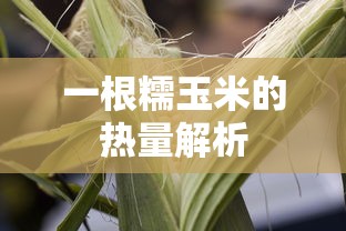 一根糯玉米的热量解析  第1张