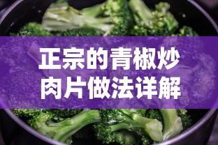 北京福克斯车友会电话  第1张