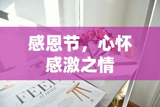 感恩节，心怀感激之情，珍视生命中的每一份恩赐  第1张