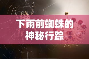 白鹿原鹿兆海扮演者  第1张