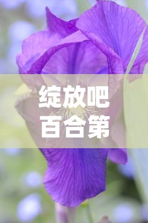 绽放吧百合，第50集大结局揭晓  第1张
