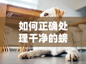 正确处理干净的螃蟹的步骤  第1张