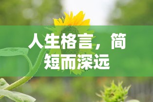 人生格言，简短而深远。  第1张