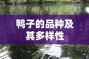 鸭子的品种及其多样性  第1张