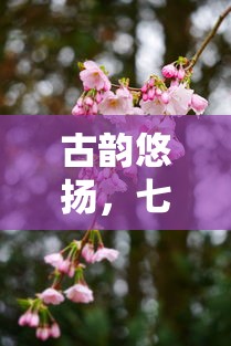 古韵悠扬七言美  第1张