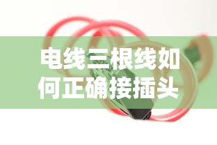 三根线如何正确接插头，简易教程与安全指南  第1张