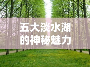 五大淡水湖的神秘魅力之旅  第1张