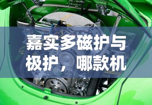qq天堂岛  第1张