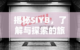 揭秘SIYB，探索与理解的旅程  第1张