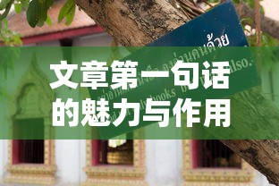 文章第一句话的魅力与作用  第1张