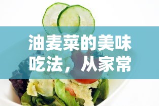 油麦菜的美食之旅，从家常到高级的烹饪指南  第1张