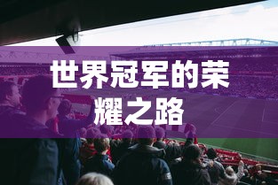世界冠军的荣耀之路，成就巅峰的奋斗历程  第1张