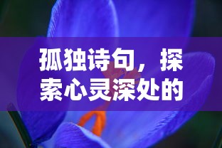 孤独诗句，探索心灵深处的诗篇之旅  第1张