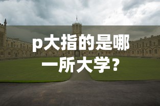 p大通常指的是北京大学。  第1张