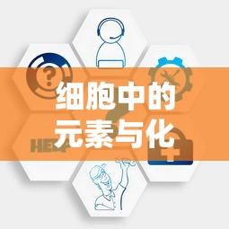 细胞中元素与化合物的奥秘，微观世界的奇妙之旅  第1张