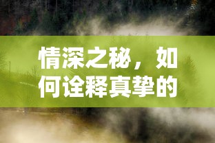 情深之秘，诠释真挚情感的奥秘  第1张