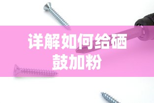 斗罗大陆手机免费观看超清完整  第1张