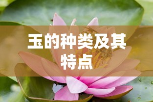 玉的种类及其特点概述  第1张