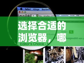如何选择合适的浏览器，哪个浏览器更适合我？  第1张